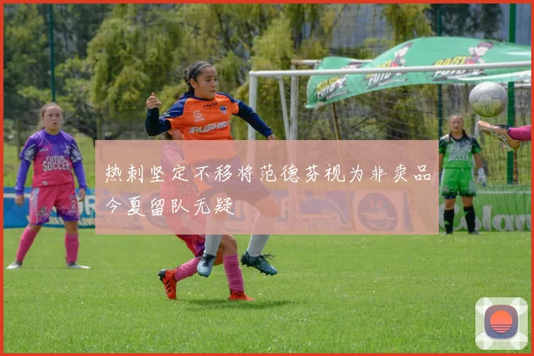 热刺坚定不移将范德芬视为非卖品今夏留队无疑